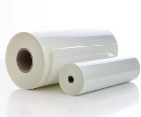 ฟิล์มละเมินกระจ่างใส ขนาด 95-105 ไมครอน ความหนาเรียบ ผิวหนังและเนื้อผิวหนัง