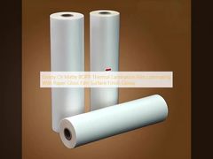 ผิวหนังกระจกกระจกกระจกกระจกกระจกกระจกกระจกกระจกกระจกกระจกกระจก